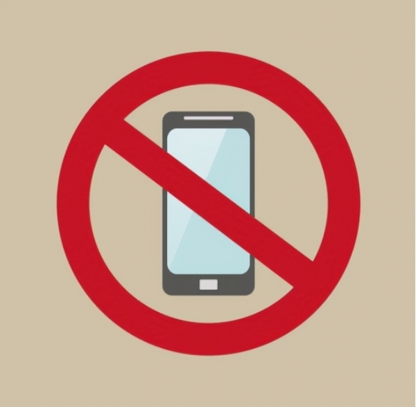 陈海鸥短信：揭秘短信营销中的秘密武器