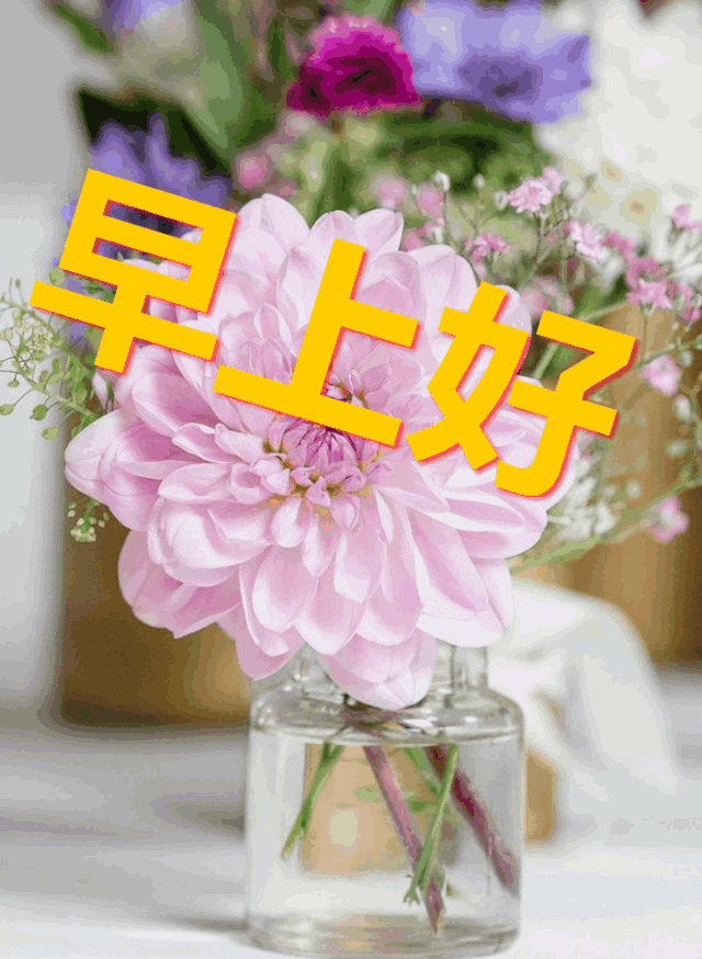 <b>如何短信举报：便捷高效的违法行为举报途径</b>